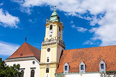 温泉馆新伙伴！《线条小狗：动物温泉》免费DLC更新现已上线